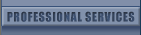 Professional Services